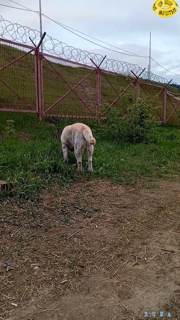 Охраняемая зона