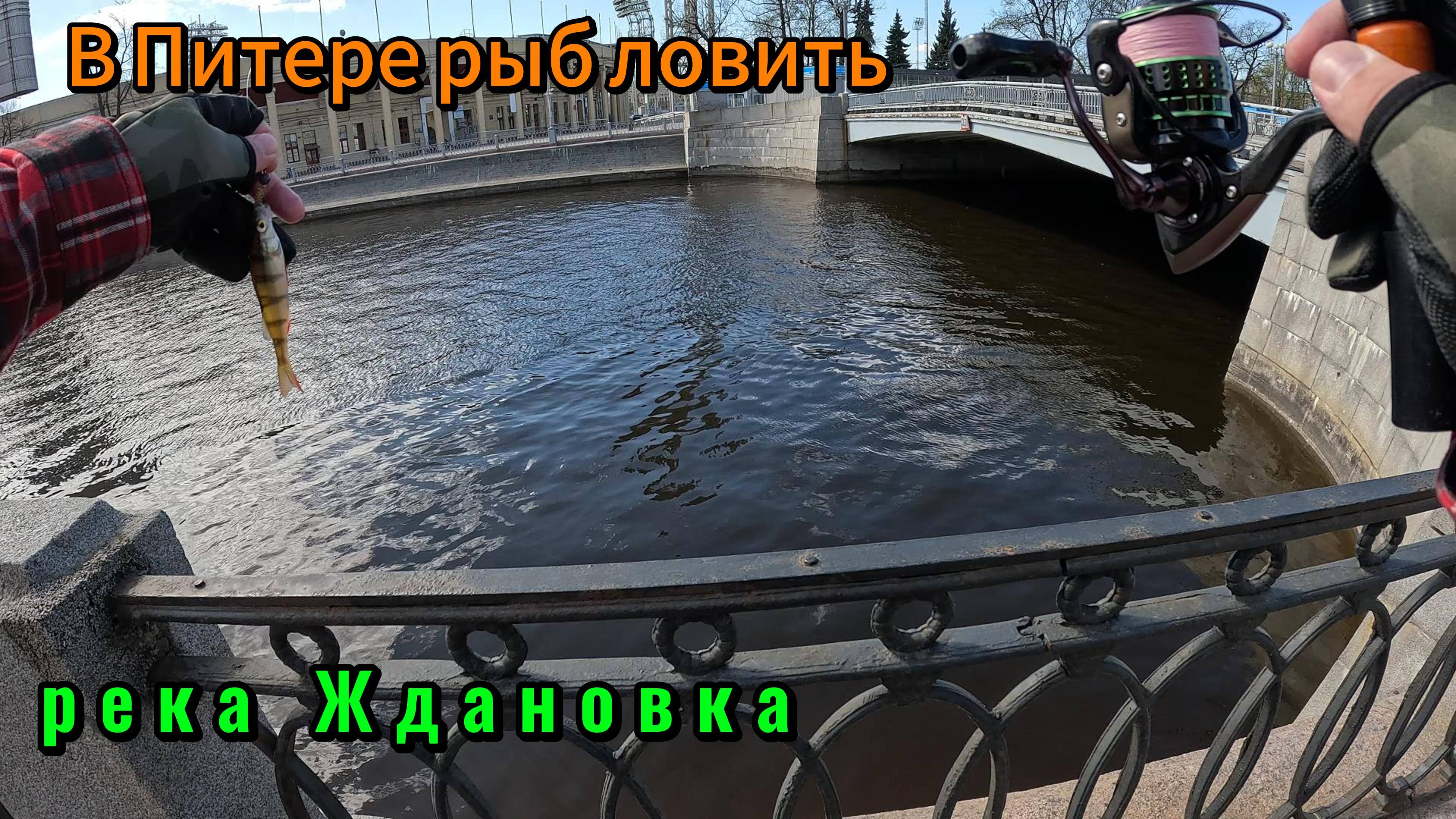 В Питере рыб ловить. Весенняя рыбалка на микроджиг на реке Ждановка