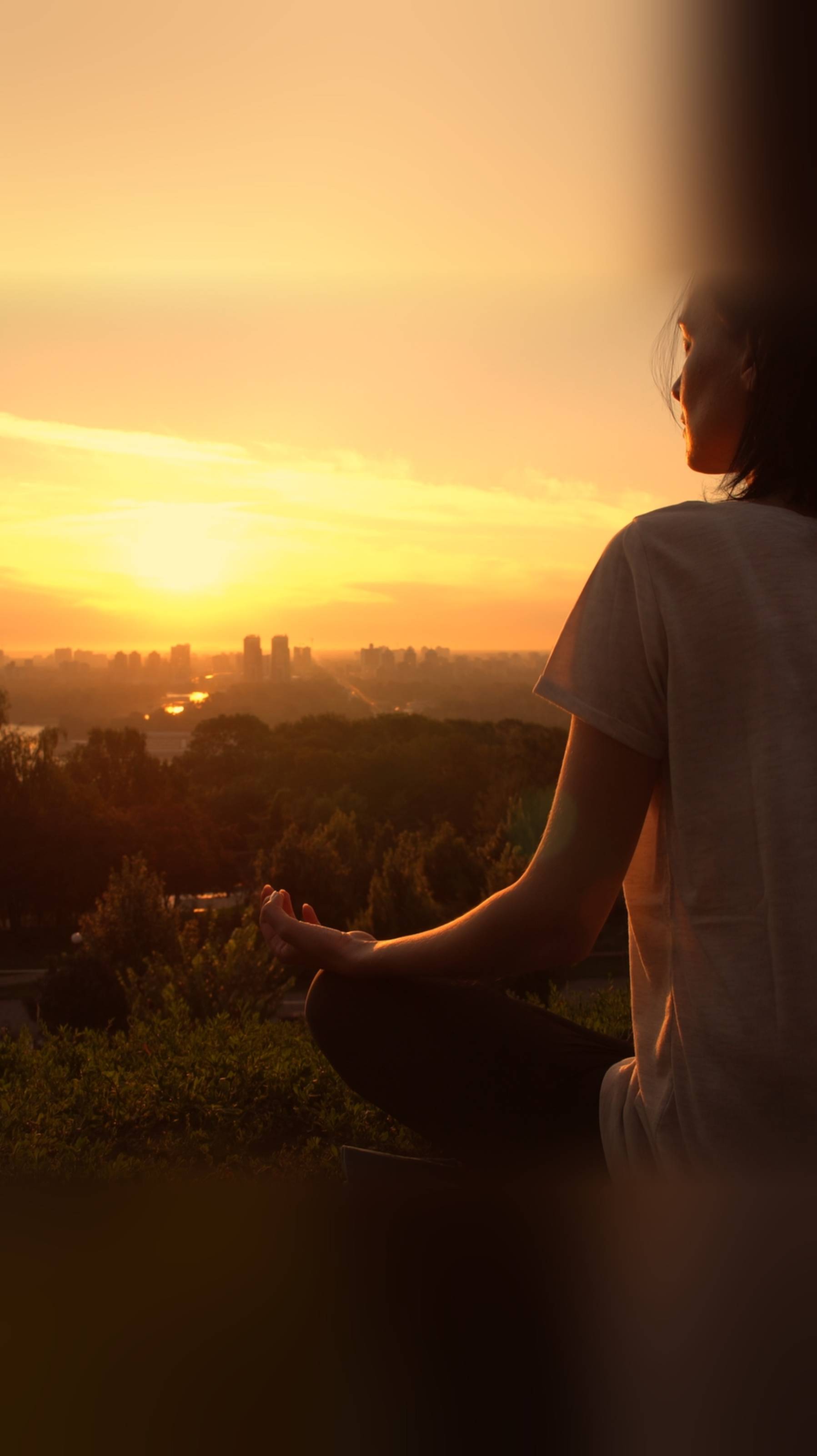 1 Часть_Пранаяма и медитация: тайные механизмы очищения сознания.