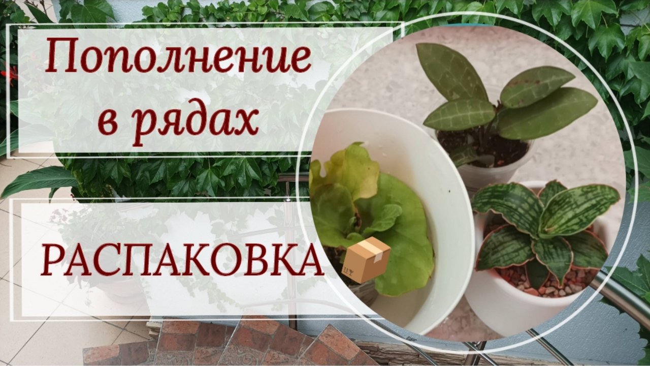 Пополнение в рядах. Распаковка 📦📦 посылок.