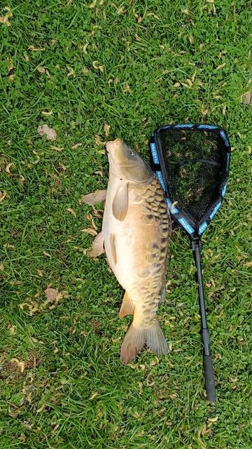 Рыбка удивляет порой