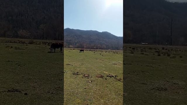 отдыхаю, выезд на природу