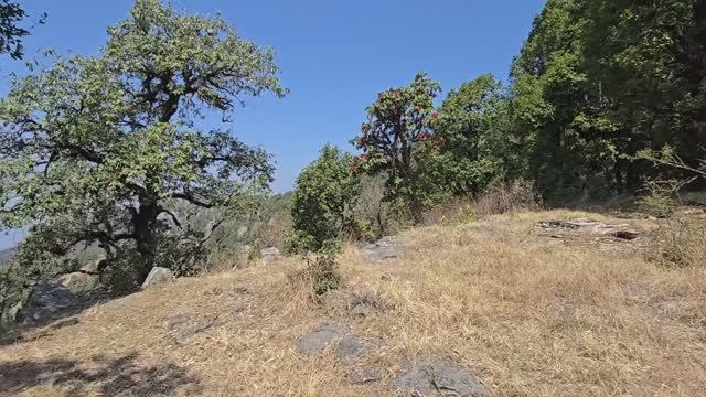 Над пещерой Бабаджи. Индия. Март 2025