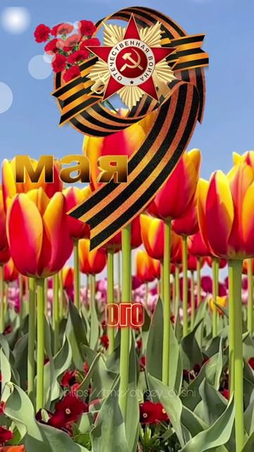 Праздник Победы 9 мая 1941-1945.