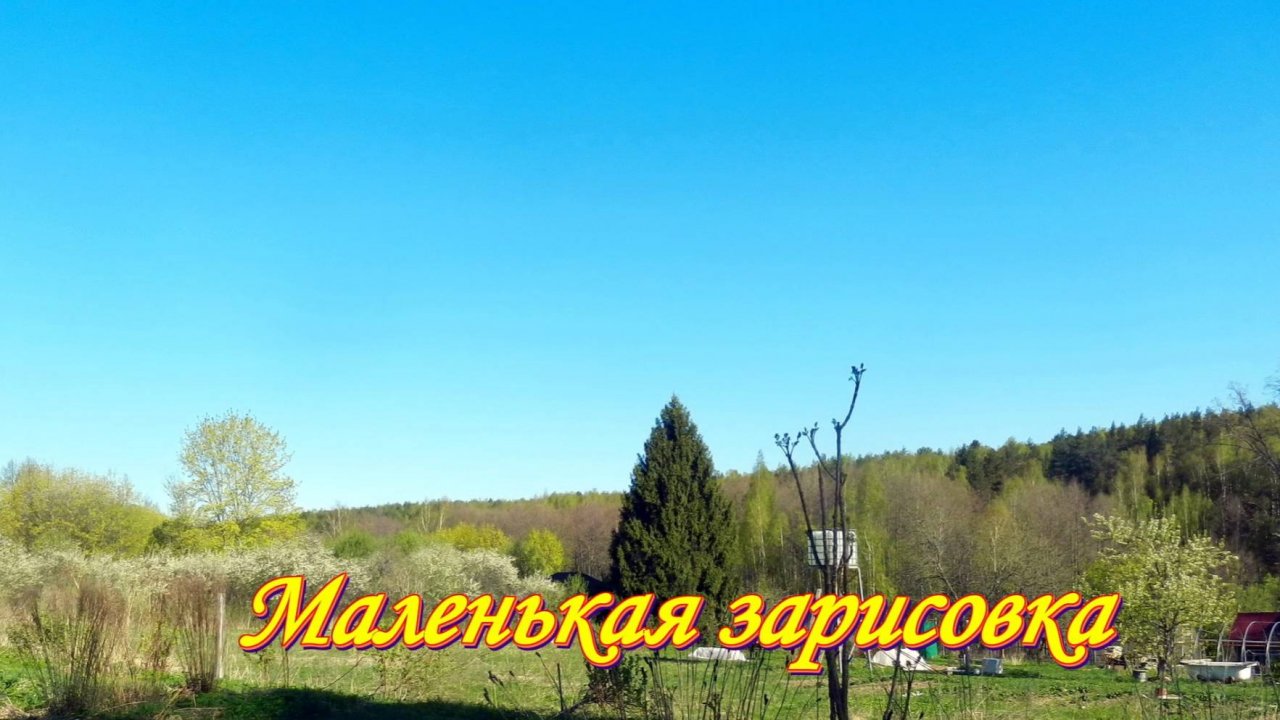 🌴Весенняя зарисовка из сада