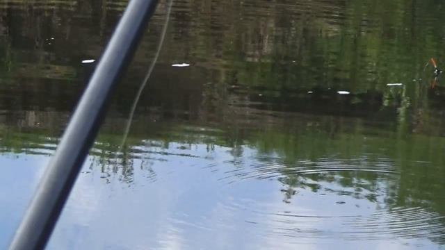 Рыбалка. Лещ на поплавок.