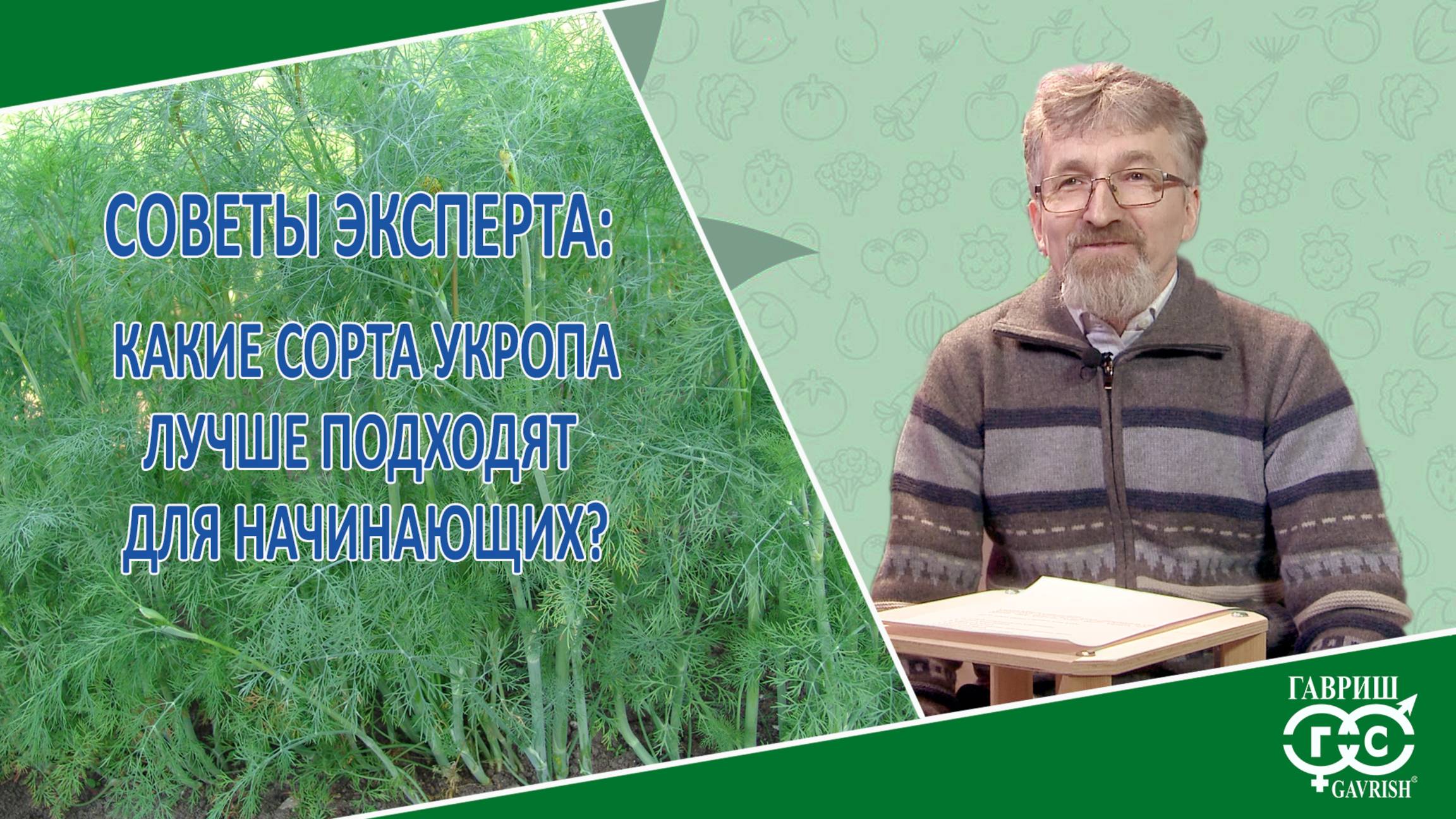 СОРТА УКРОПА ДЛЯ НАЧИНАЮЩИХ