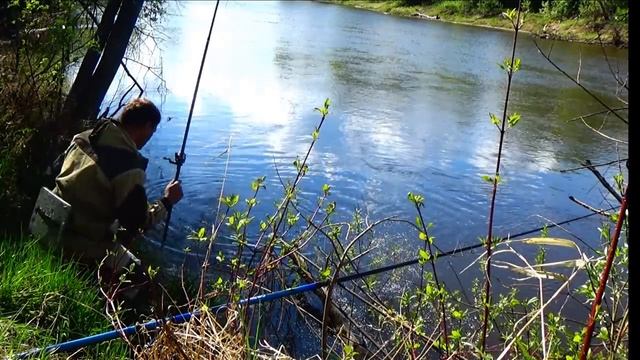 🎣Весенняя Рыбалка на реке, клюёт, ЯЗЬ