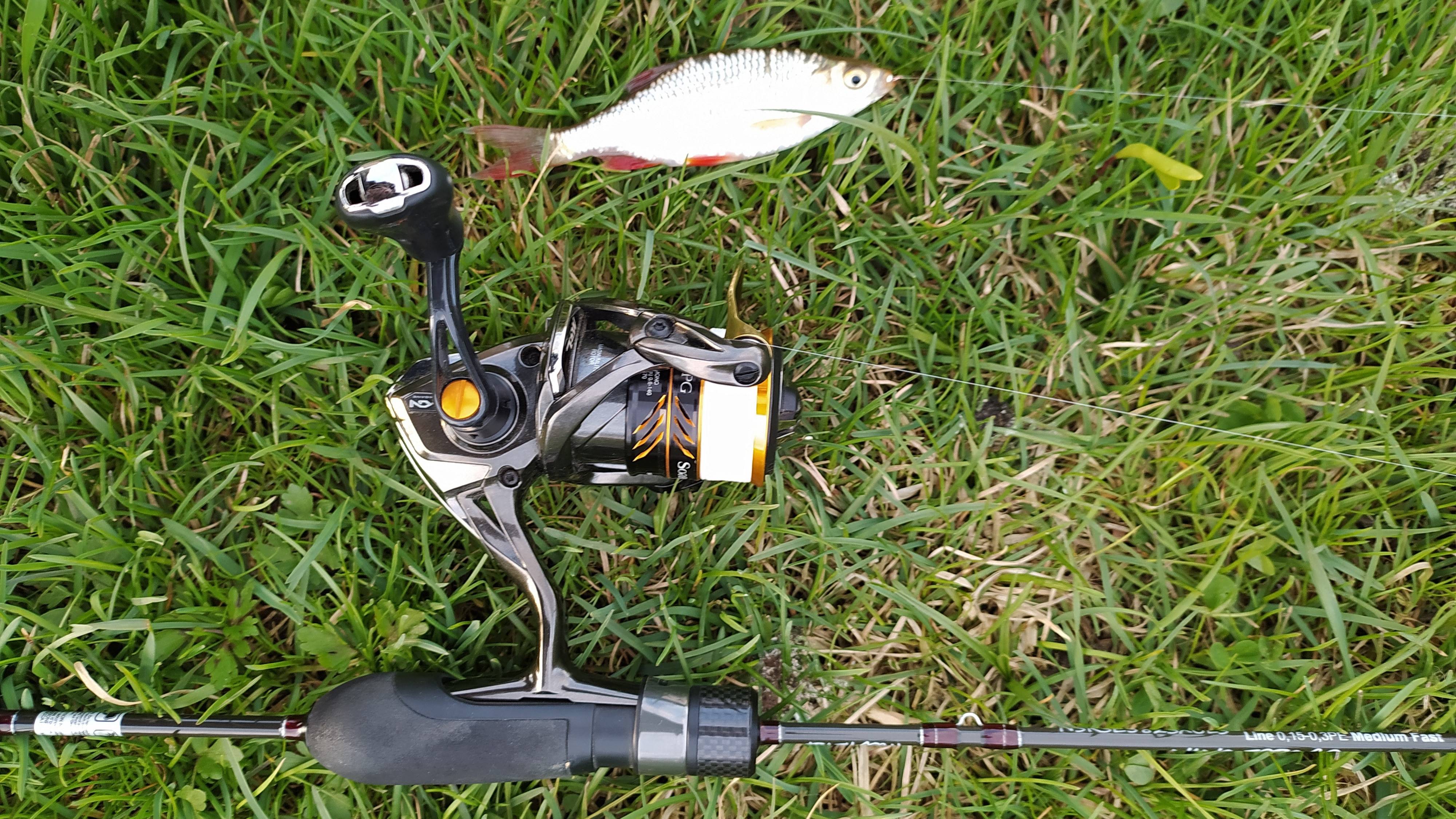 МОРМЫШИНГ. Домашний водоем, вечером 28 апреля 2025 года