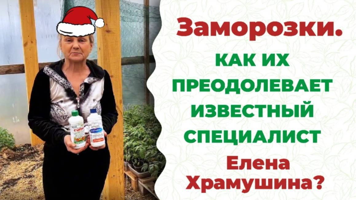 Оригинальные, успешные способы защиты от заморозков и похолоданий. Смотрите!