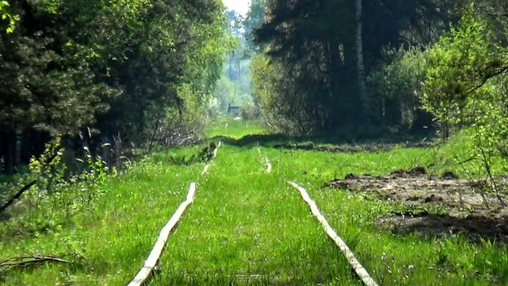 Полузаброшенный железнодорожный путь около города Камешково. Владимирская область