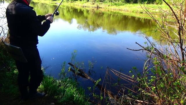 Рыбалка на реке Лобва. Язи Монстры👹 рвут леску😯. Свердловская область..mp4