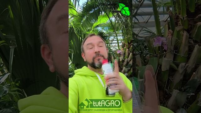 ОГРОМНЫЙ УРОЖАЙ ТОМАТОВ и ОГУРЦОВ с ЭТОЙ ПОДКОРМКОЙ! ДВЕ ОТЛИЧНЫЕ НОВОСТИ: для всех и не для всех!