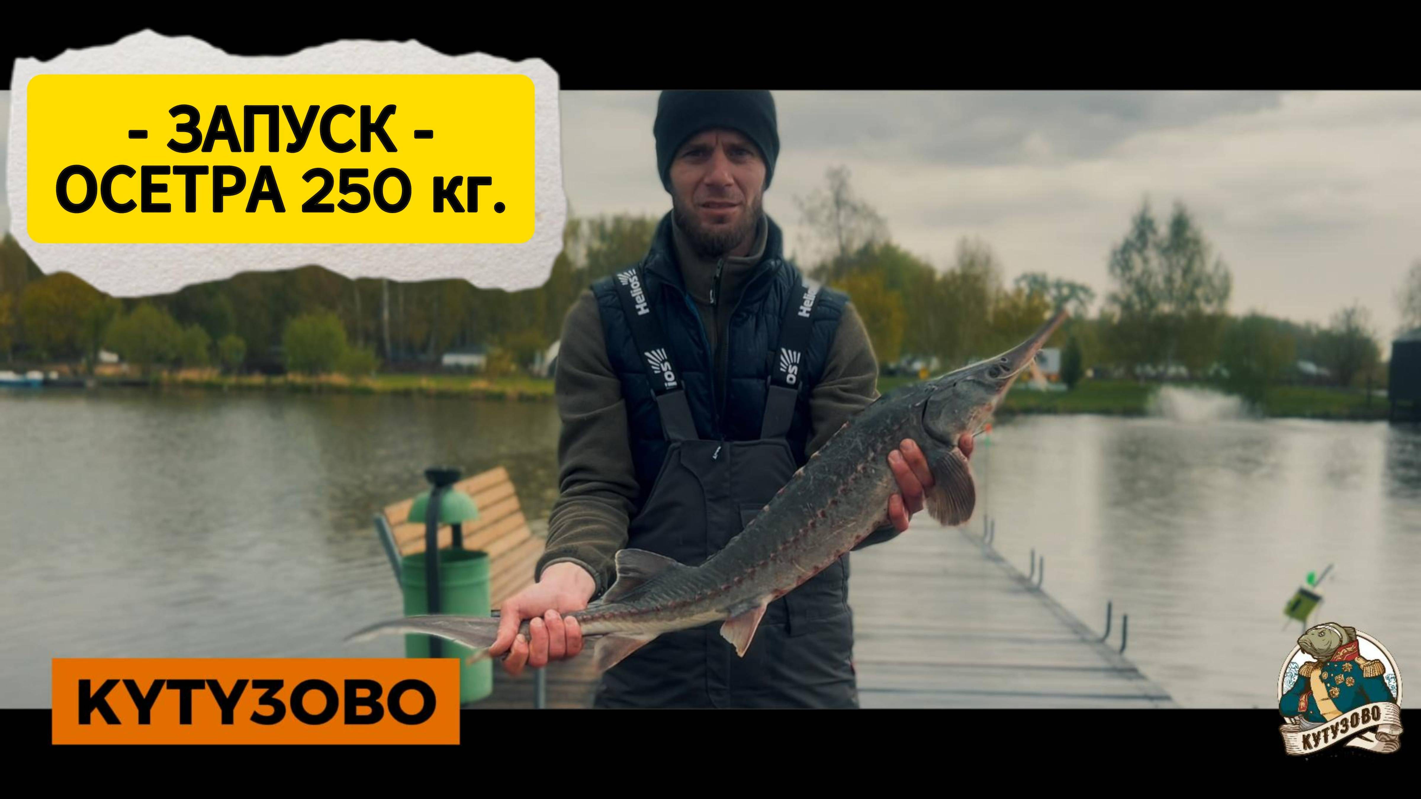 ЗАПУСК ОСЕТРА 250 кг.