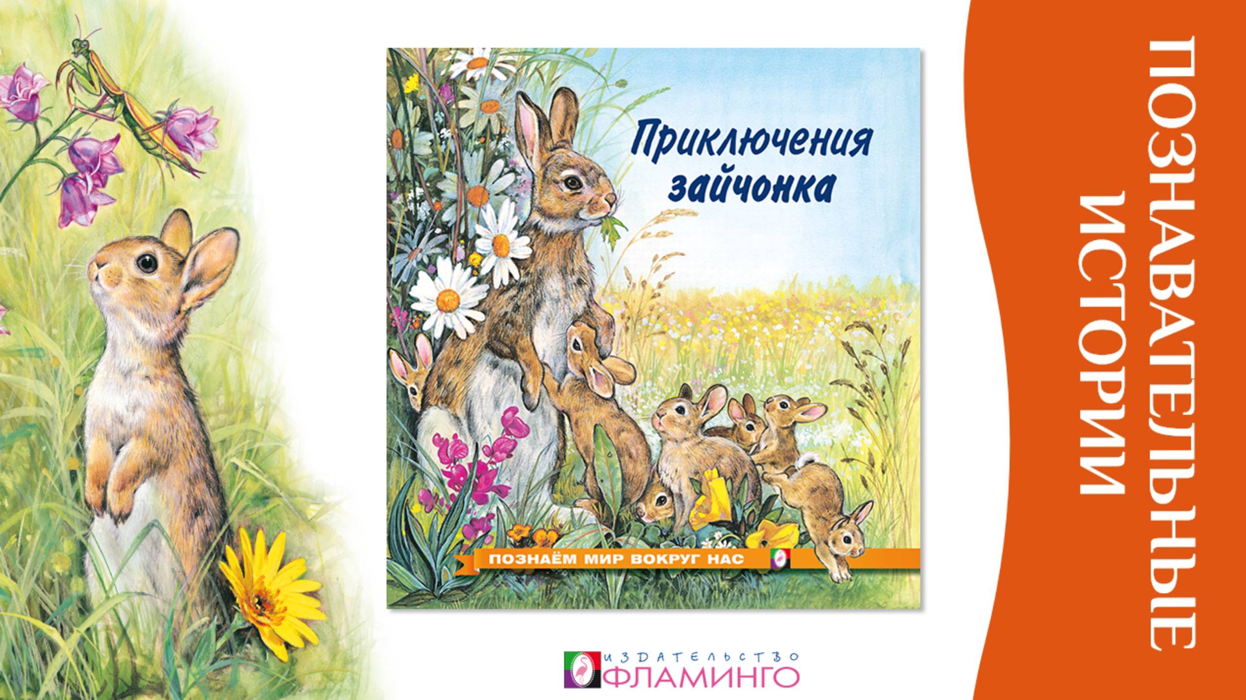 Познаём мир вокруг нас / Приключения Зайчонка