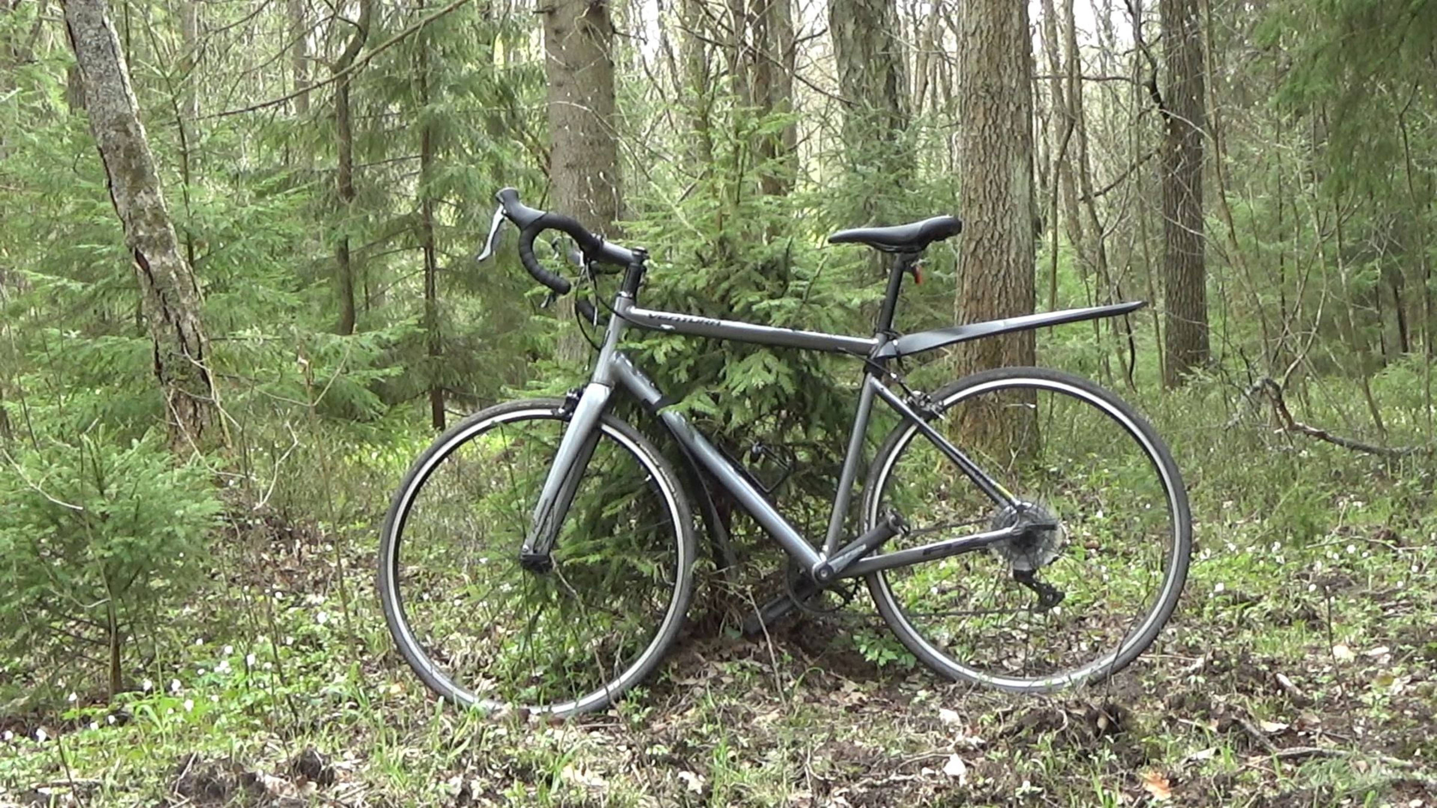 Шаблоны сломаны