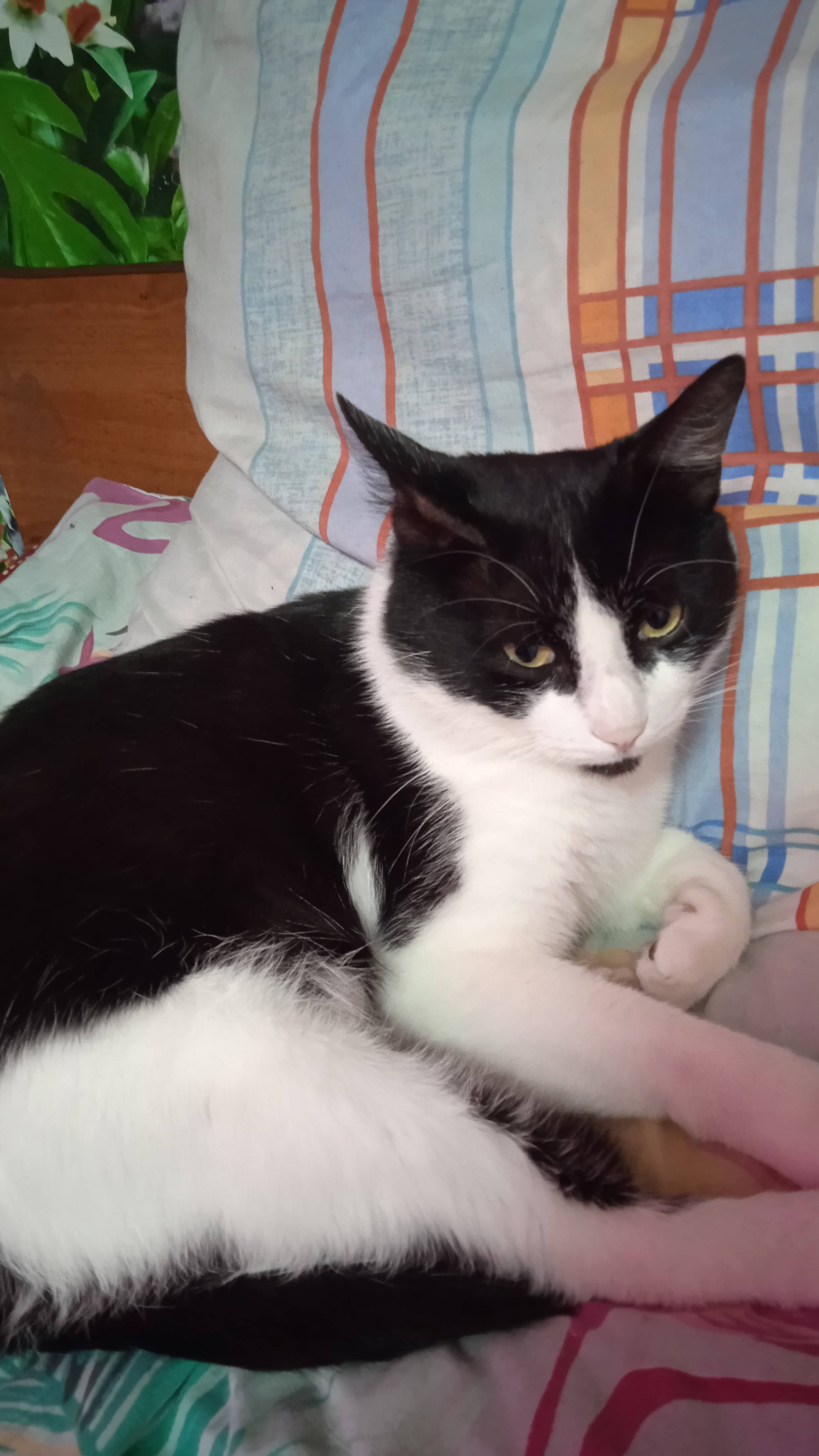 1.5.25г. Мой ЛЁВОЧКА!!!  Делим Одну ПОДУШКУ на ДВОИХ!!!  Мой Самый ЛЮБИМЫЙ!!!