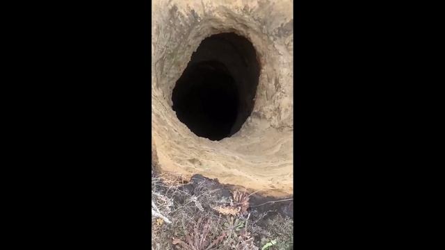 В Ульяновской области местные жители обнаружили «бездонную» дыру в поле между селами.