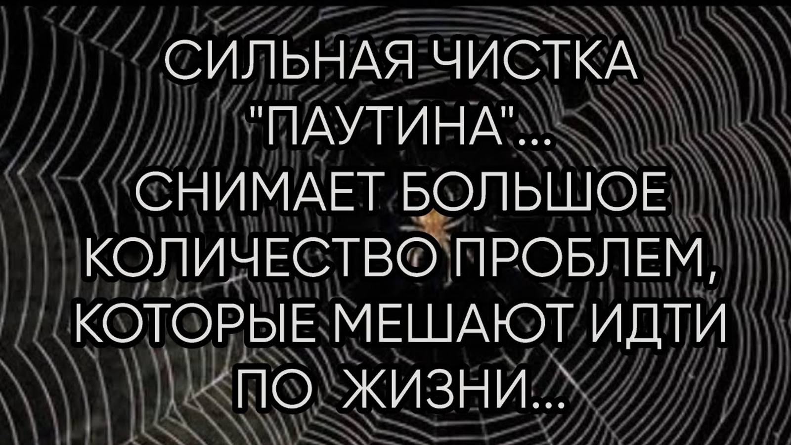 СИЛЬНАЯ ЧИСТКА ...ПАУТИНА...ДЛЯ ВСЕХ...