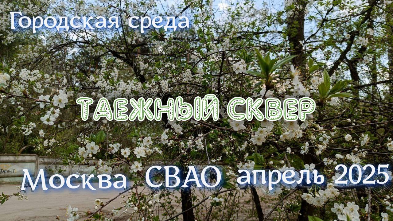 Городская среда | Сквер Таежный | Москва в апреле 2025