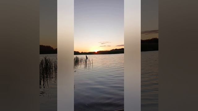 Нюша и Вуокса🏞️