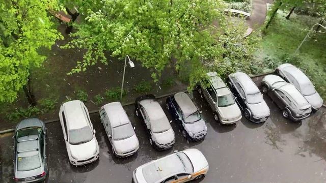 МАЙСКИЙ СНЕГ