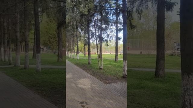 Отдыхаем в майские праздники в парке ЦПКиО#shorts  #обзор #весна#automobile #фильм #красота #travel