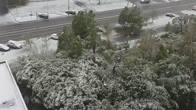 Майский снегопад в Москве...