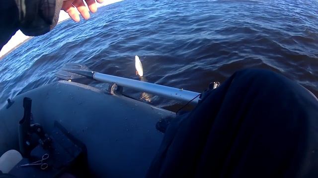 Рыбалка на Финском заливе. Отчёт за 01.05.25. РЛЦ "Раскат". Плотва.