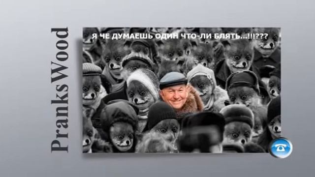 Шайка Дурачков 5