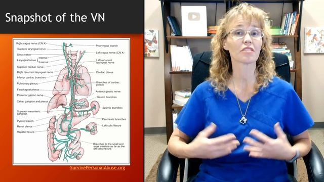 How Trauma Gets Trapped in Your Body_ Part 1 the Vagus Nerve