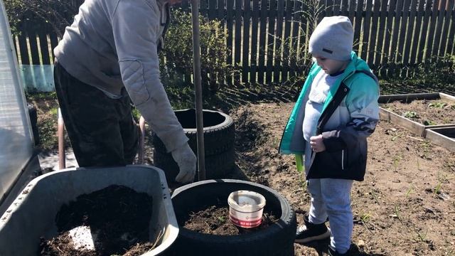 В гостях у Михалыча. Теплые грядки, что надо сделать для хорошего урожая огурцов.