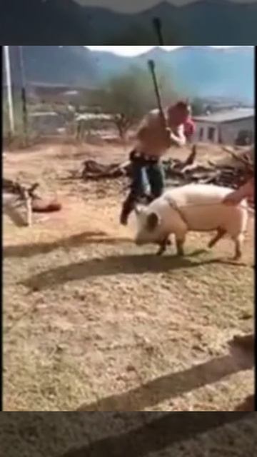 Как такое возможно???