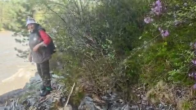 Река Катунь от Галины 01.05.25.