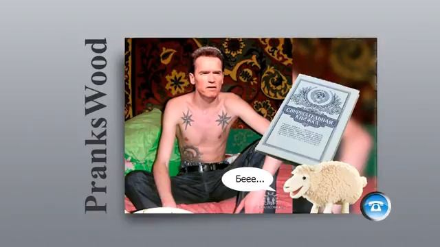 Шайка Дурачков 19