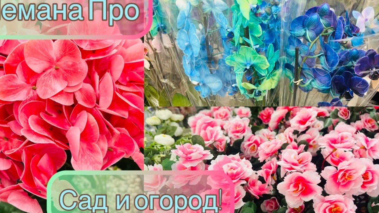 💖 В ЛЕМАНА ПРО ЦВЕТЫ 💐 САДОВАЯ МЕБЕЛЬ 🛋 и не только💕💞