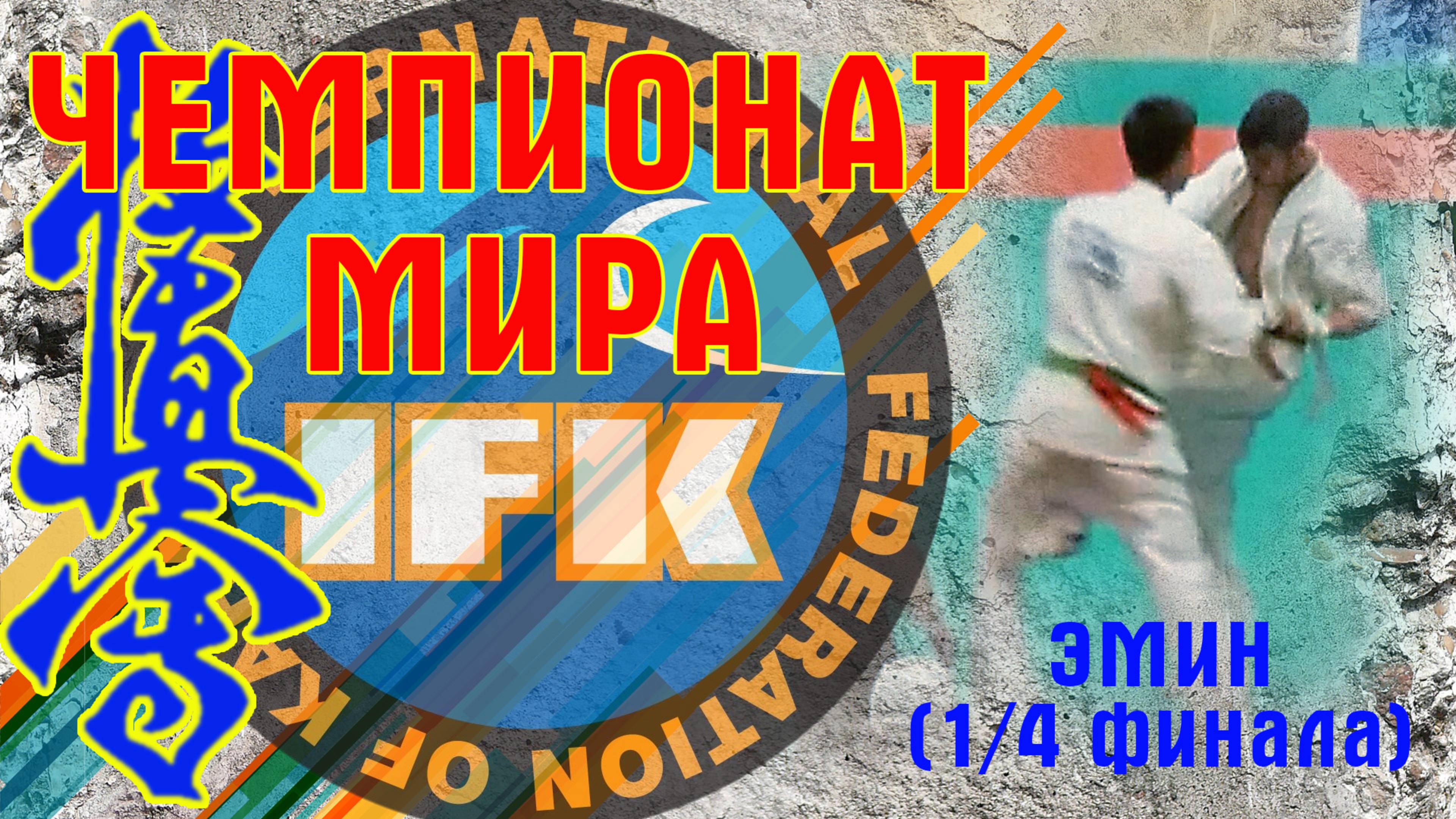 Киокусинкай.Чемпионат Мира.ИФК.Эмин(1/4финала)