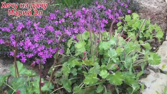 Дела дачные. Готовлю грунт для кашпо 05.24г