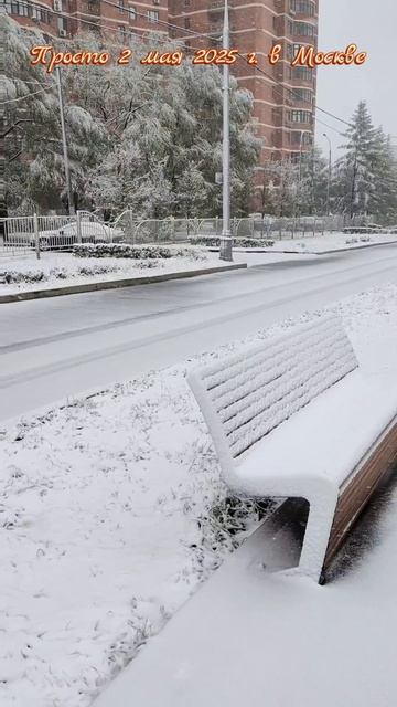2 мая 2025 г. Просто начало мая в Москве #москва #2мая #снегвмае #снег