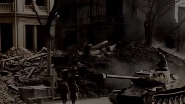 Михайлюк Виталий Николаевич