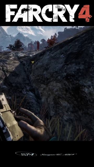 Far Cry 4. Undetected assassination