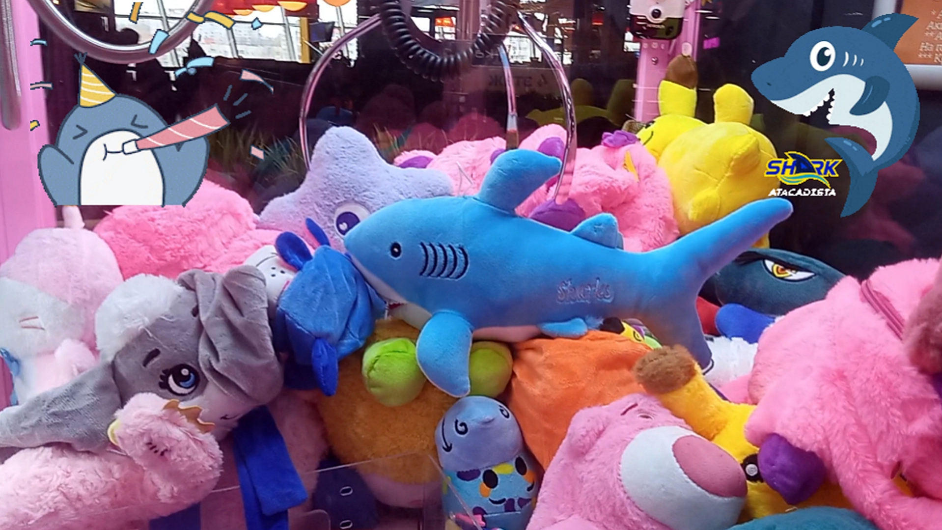 Что удалось выиграть в этот раз из автомата Хватайка?