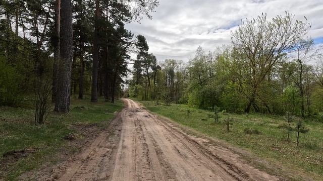 Оптина пустынь | 2025