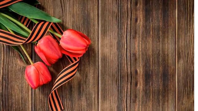 Шевченко Дмитрий Александрович