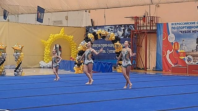 ТР 8-15, Ярмолюк - Семенова - Синицина,  Балансовое упражнение