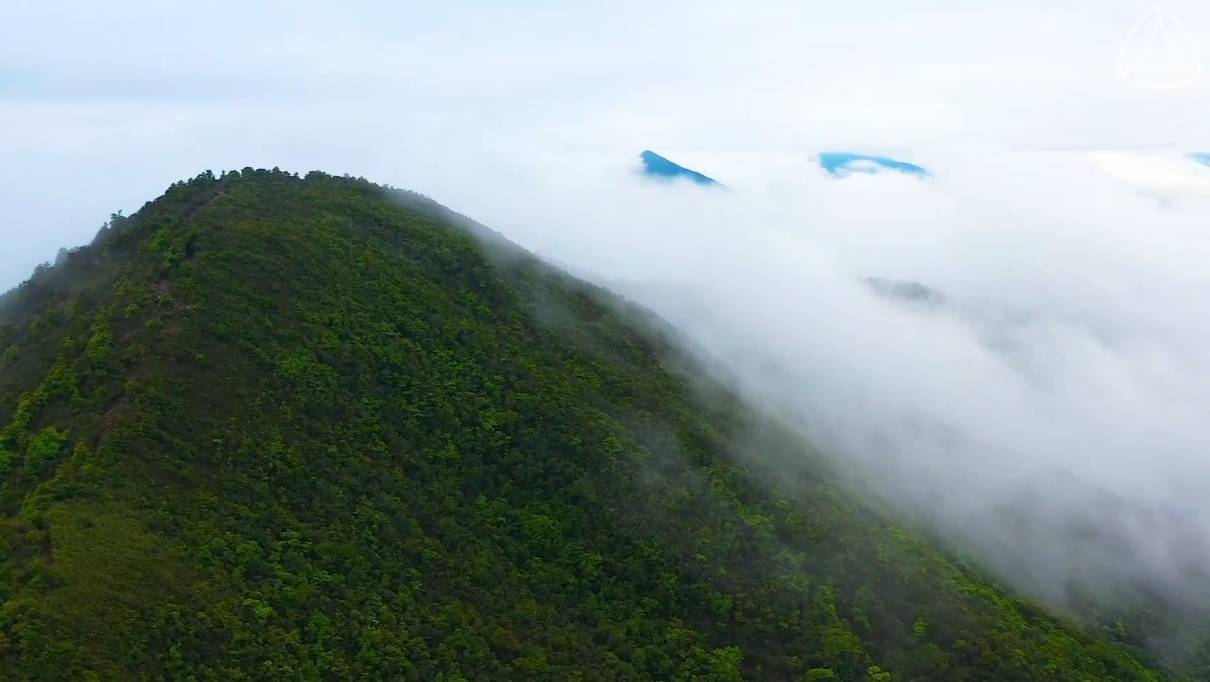 Спокойная расслабляющая музыка для сна.