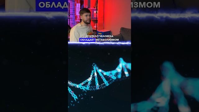 Почему мы не разваливаемся на атомы? ТГ: globalee_phys Запись на Курс по Физике!