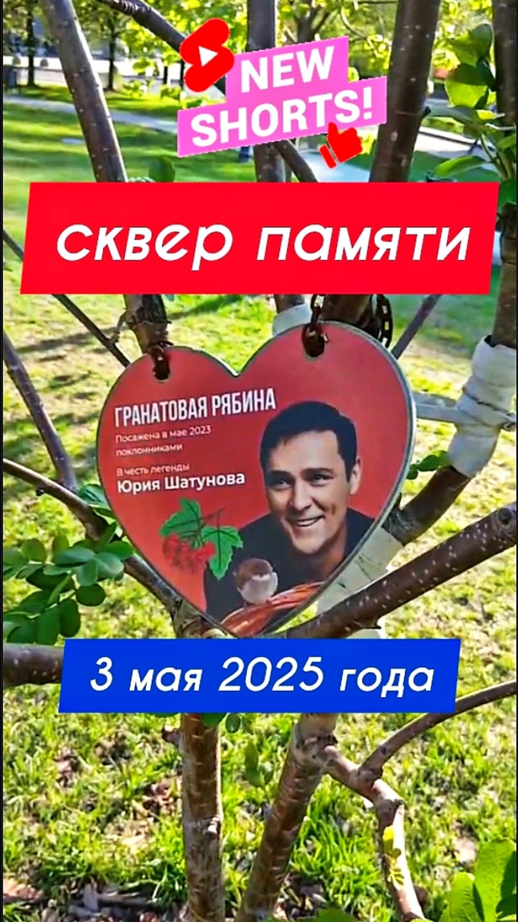 живые легенды Ласкового мая  в сквере памяти на цветном бульваре