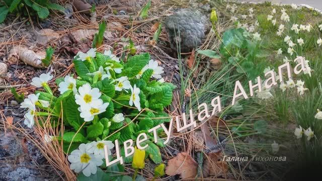 Полёт души  Музыка  Эрнесто Кортазар Ernesto Cortazar...Стихи и фото Татьяны Силютиной ///
Моя Анапа