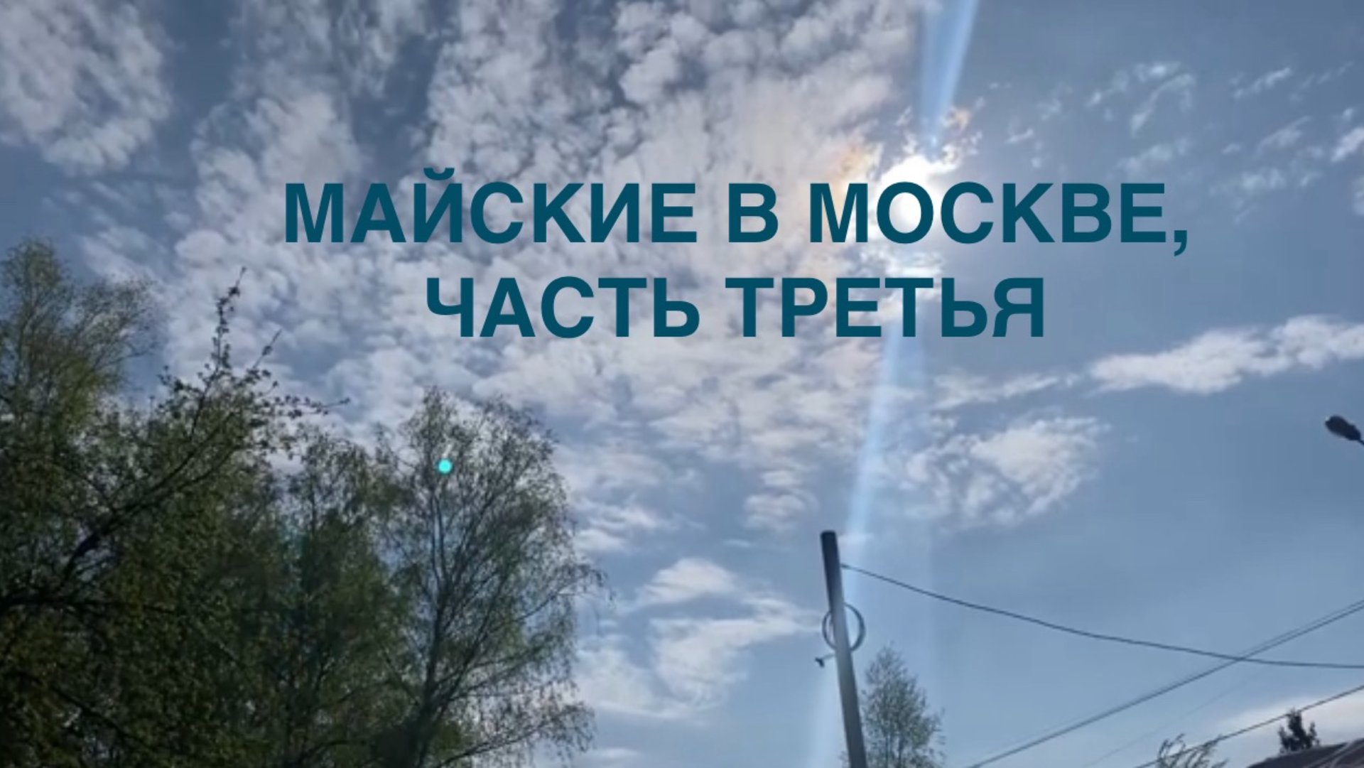 ВЫХОДНЫЕ В МОСКВЕ: ДОЛГОЖДАННАЯ ПОЕЗДКА НА ШАШЛЫКИ